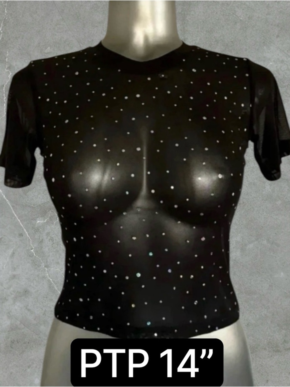 $10 Add-On 🆕French Twist Shimmering Mesh T-Shirt
